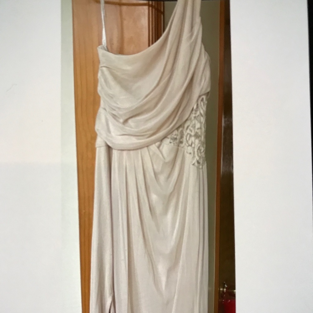 David’s bridal champagne tall one shoulder mesh dress